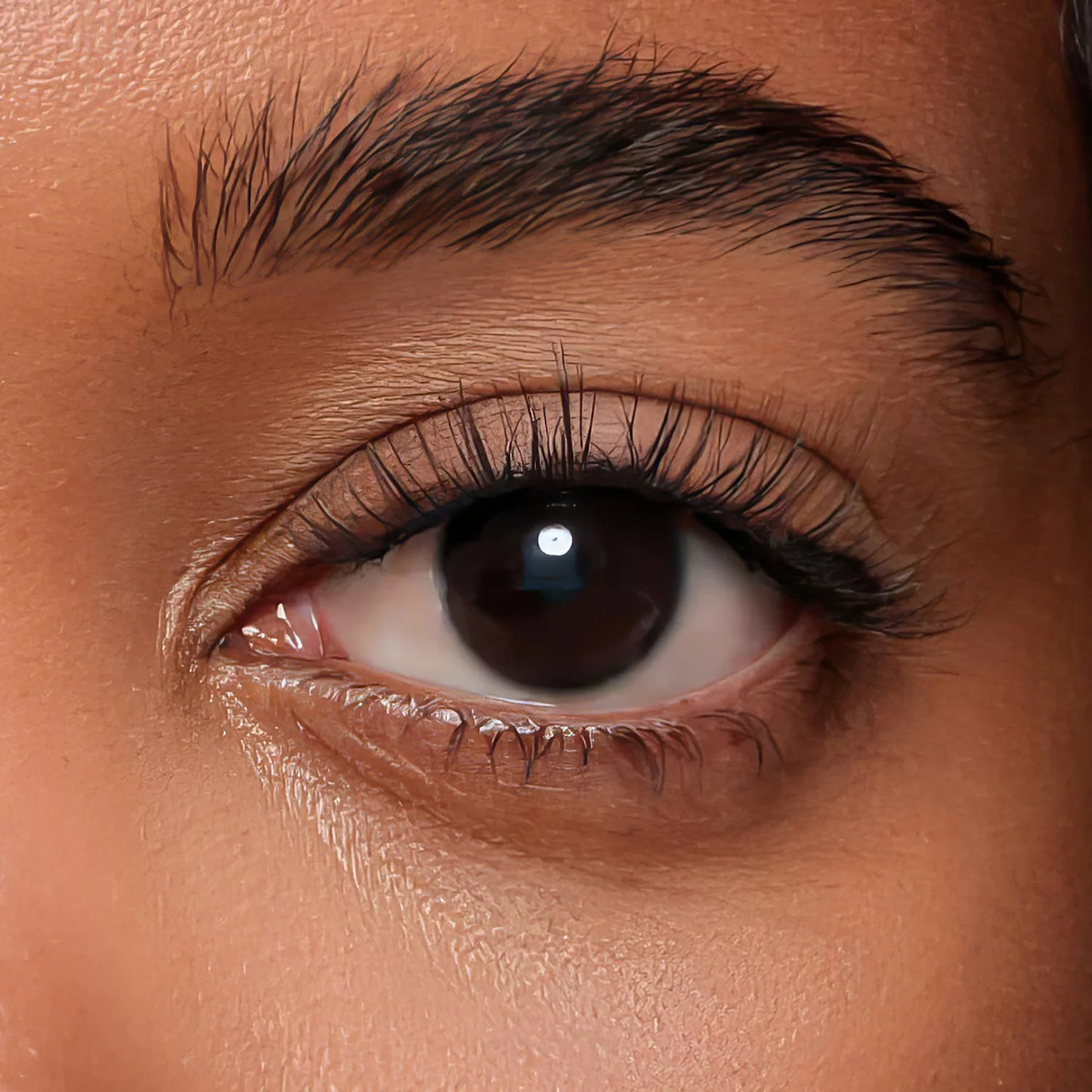 Magnetic Eyelashes