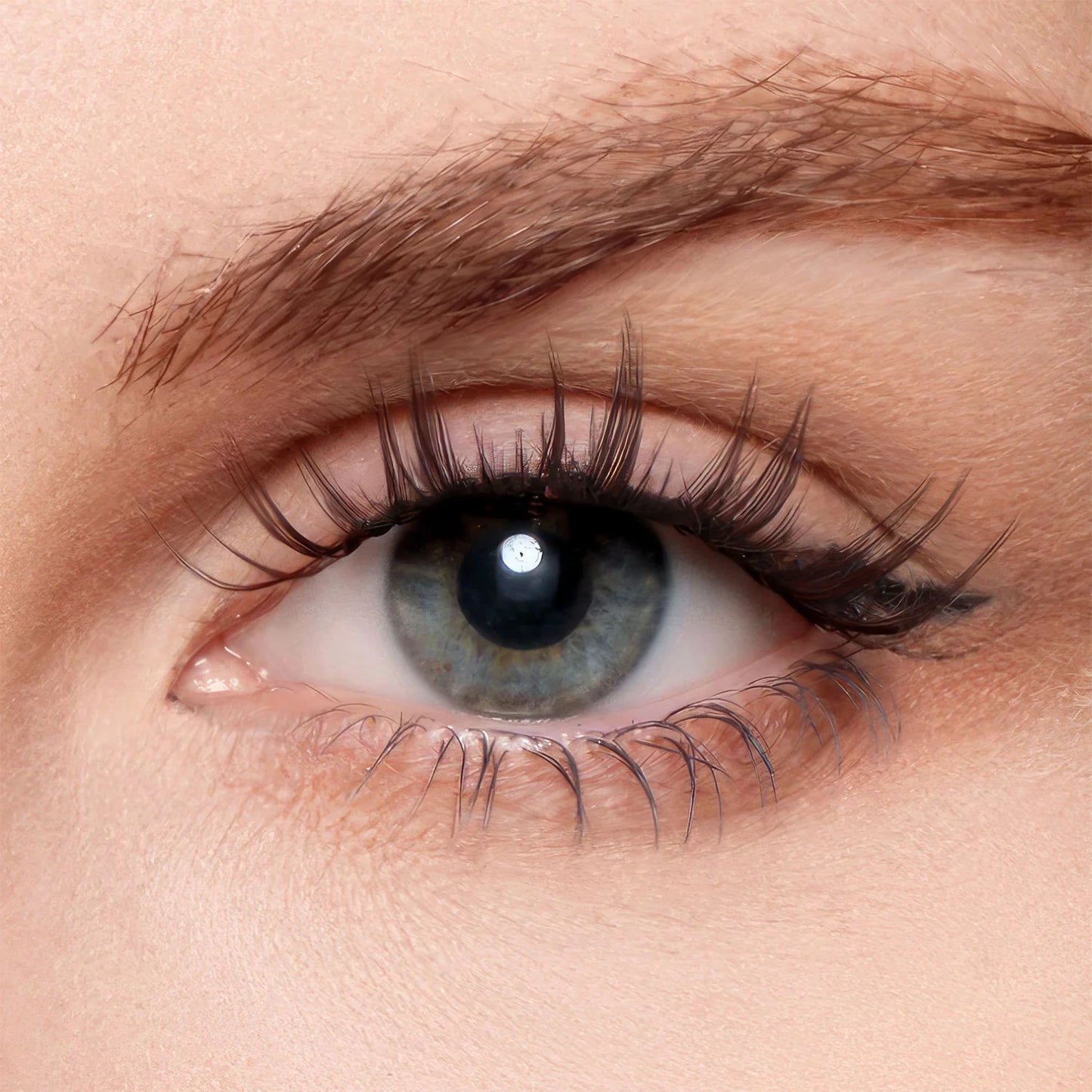 Magnetic Eyelashes